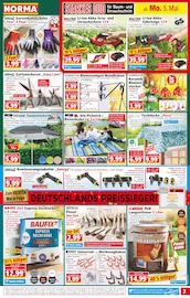 Terrassendielen im Norma Prospekt in Amberg Aktueller Norma Prospekt mit Terrassendielen, "Mehr fürs Geld", Seite 3