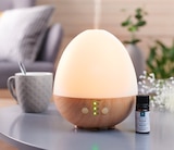 Promo Coffret diffuseur d’huiles essentielles à 14,99 € dans le catalogue Gifi à Le Nizan