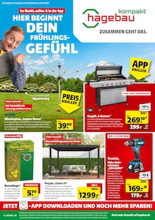 hagebau kompakt Prospekt SUPER DEALS mit  Seiten in Günzburg und Umgebung