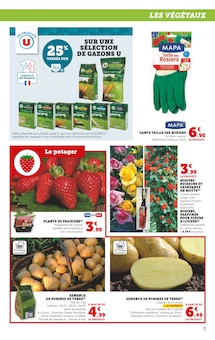 Promo Arbuste dans le catalogue Super U du moment à la page 5