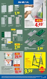 Aktueller Lidl Prospekt mit Farbe, "LIDL LOHNT SICH", Seite 59