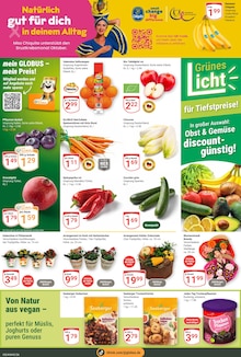 Pflanzen im aktuellen GLOBUS Prospekt (Jena) Pflanzen im GLOBUS Prospekt "Aktuelle Angebote" mit 29 Seiten (Jena)