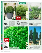 Palmier Angebote im Prospekt "PRÉPAREZ L’AUTOMNE : JARDIN - BRICOLAGE" von Carrefour auf Seite 8