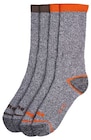 Baumeistersocken Angebote von DMAX bei Penny Cottbus für 6,99 €