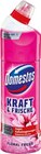 WC Reiniger im Netto Marken-Discount Prospekt WC-Gel von Domestos im aktuellen Netto Marken-Discount Prospekt für 1,69 €