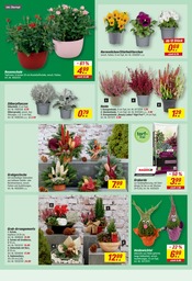 Blumentopf im toom Baumarkt Prospekt in Chemnitz Aktueller toom Baumarkt Prospekt mit Blumentopf, "Respekt, wer's selber macht.", Seite 4