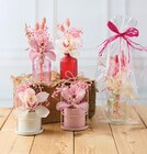 Composition Cymbidium en promo chez U Express Aulnay-sous-Bois à 8,99 €