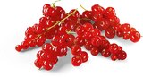 Johannisbeeren rot Angebote von HEIMAT bei Netto Marken-Discount Trier für 2,49 €