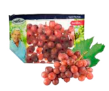 CAP Markt Rendsburg - Tafeltrauben hell oder rot Angebot im Prospekt Tafeltrauben hell oder rot bei CAP Markt im Rendsburg Prospekt für 3,49 €