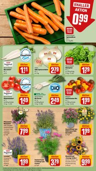 Blumen im REWE Prospekt "Dein Markt" mit 18 Seiten (München)