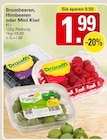 Brombeeren oder Mini Kiwi im WEZ Prospekt zum Preis von 1,99 €