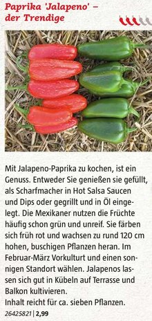 Paprika 'Jalapeno' – der Trendige bei BAUHAUS in Fürth Paprika 'Jalapeno' – der Trendige im Angebot bei BAUHAUS Fürth für 2,99 €