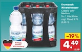 Netto Marken-Discount Höchstädt - Mineralwasser Angebot im Prospekt Mineralwasser bei Netto Marken-Discount im Höchstädt Prospekt für 4,49 €