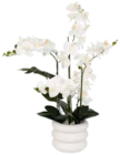 Orchidée Mick en promo chez Maxi Bazar Nanterre à 19,99 €