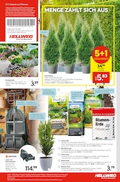 Blumenerde Angebot im aktuellen Hellweg Prospekt auf Seite 23