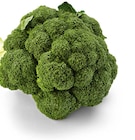 Broccoli bei Netto Marken-Discount im Prospekt "" für 1,00 €