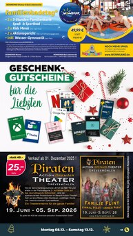 Waschmittel Angebot im Netto mit dem Scottie Prospekt, gültig von 08.12.2025 bis 13.12.2025 Waschmittel Angebot im aktuellen Netto mit dem Scottie Prospekt auf Seite 19