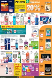 Aktueller GLOBUS Prospekt mit Hundefutter, "Aktuelle Angebote", Seite 19