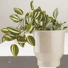 ADAM Blumentopf im Angebot bei JYSK in Recklinghausen ADAM Blumentopf Angebote bei JYSK Recklinghausen für 5,00 €