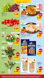 Penny Zimmerpflanzen im Prospekt 