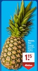 ALDI SÜD Heilberscheid - Ananas, lose Angebot im Prospekt Ananas, lose bei ALDI SÜD im Heilberscheid Prospekt für 1,15 €