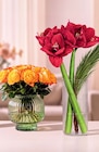 Netto Marken-Discount Frankfurt - Moosrosen Angebot im Prospekt Moosrosen bei Netto Marken-Discount im Frankfurt Prospekt für 1,99 €