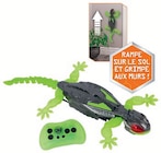 Gecko RC grimpeur de murs - HEXBOTS - Super U à Joué-lès-Tours Gecko RC grimpeur de murs - HEXBOTS en promo chez Super U Joué-lès-Tours à 17,99 €