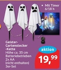 Geister-Gartenstecker-Kette von  im aktuellen budni Prospekt für 19,99 €