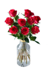 Premiumrosen für 4,99 € bei Lidl im Angebot Premiumrosen im aktuellen Lidl Prospekt