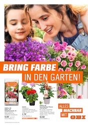 Aktueller OBI Möbel & Einrichtung Prospekt in Lauscha und Umgebung, "BRING FARBE IN DEN GARTEN!" mit 20 Seiten, 05.05.2025 - 25.05.2025