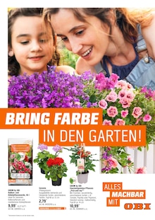 OBI Prospekt BRING FARBE IN DEN GARTEN! mit  Seiten in Reuth und Umgebung