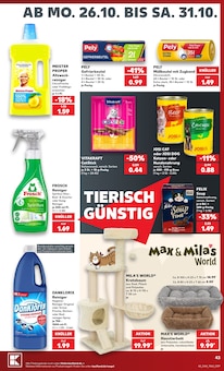 Vanish Oxi Action Angebot im Kaufland Prospekt, gültig von 26.10.2026 bis 31.10.2026 Vanish Oxi Action Angebot im aktuellen Kaufland Prospekt auf Seite 43