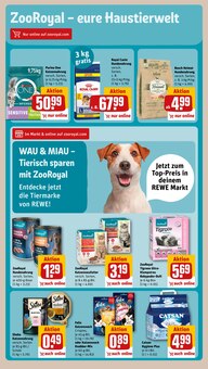 Katzenstreu im REWE Prospekt "Dein Markt" mit 29 Seiten (Duisburg)