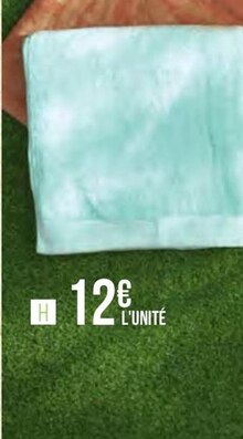 Géant Casino Davayat - Drap de plage 70x140 cm PALM Promo Drap de plage 70x140 cm PALM dans le catalogue Géant Casino "BIO" à Davayat