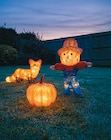 LED-Acryl-Herbsttier von Nord für 14,99 € bei Netto mit dem Scottie im Angebot LED-Acryl-Herbsttier von Nord im aktuellen Netto mit dem Scottie Prospekt