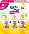 Waschmittel Angebote von Kuschelweich bei Netto mit dem Scottie Stralsund für 16,99 €