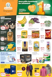 Persil im GLOBUS Prospekt in Zwickau Aktueller GLOBUS Prospekt mit Persil, "Aktuelle Angebote", Seite 5