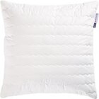 Aktuelles Vision Kopfkissen Angebot bei Möbelzentrum Pforzheim in Heilbronn ab 24,99 €