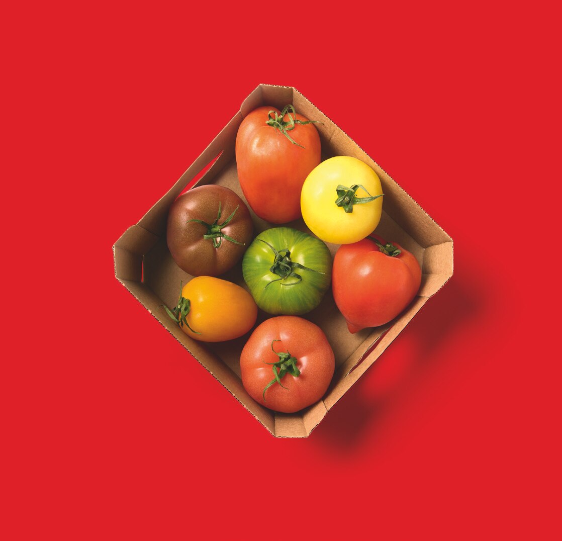 Tomates Les Saveurs d'Antan sans pesticides