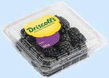 Mexikanische Brombeeren bei WEZ im Löhne Prospekt für 2,99 €