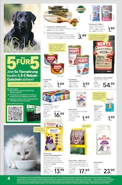 Aktueller BayWa Bau- und Gartenmärkte Prospekt mit Katzenfutter, "Alles für heimische Wildvögel", Seite 4