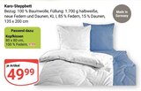 Aktuelle Kopfkissen Angebote bei GLOBUS in Salzgitter Aktuelles Karo-Steppbett Angebot bei GLOBUS in Salzgitter ab 9,99 €