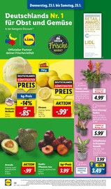 Aktueller Lidl Prospekt mit Zitronen, "LIDL LOHNT SICH", Seite 50