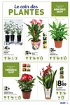 Plantes Plantes