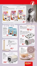 Box im Zookauf Prospekt in Bremen Aktueller Zookauf Prospekt mit Box, "ALLES BEREIT FÜR EUREN FRÜHLING", Seite 3