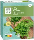 Petersilie oder Schnittlauch Angebote von Naturgut bei Penny-Markt Essen für 0,59 €