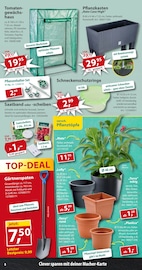 Aktueller Sonderpreis Baumarkt Prospekt mit Pflanzen, "... da, wo das Gärtnerherz lacht!", Seite 8