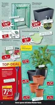 Pflanzen im Sonderpreis Baumarkt Prospekt "... da, wo das Gärtnerherz lacht!" mit 21 Seiten (Hannover)