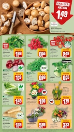 Ähnliche Angebote wie Gartenerde im Prospekt "Dein Markt" auf Seite 7 von REWE in Siegen