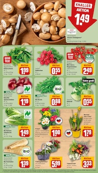 Pflanzen im REWE Prospekt "Dein Markt" mit 32 Seiten (Siegen (Universitätsstadt))